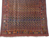 Corner of an antique Afshar carpet showing the intricate paneled cartouche and animal life border.