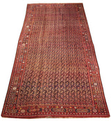 Grand-scale antique Afshar carpet with an allover boteh field and complex paneled cartouche border.
