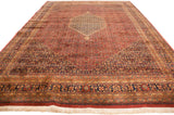 Indian Bijar design rug with intricate Herati motif and rich multi-layered borders in red and navy.