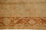Corner detail of an Oushak carpet's plush gold pile and meandering vine border in dusty rust.