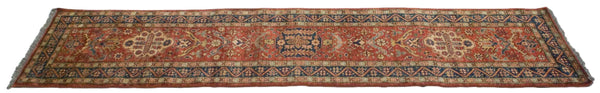 2.5x9.5 New Pakistani Caucasian Design Rug Runner // ONH Item mc001708 Image 1
