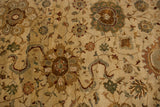 Vintage Indian Sultanabad carpet detail: large floral cross-sections, delicate vinery in ivory, olive, terracotta.