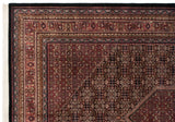 Corner of Indian Bijar carpet: intricate floral border, Herati mahi-mahi field in red, black, indigo.
