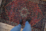 Overhead view of a vintage Baktiari rug's concentric medallions and meandering vines.
