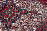Stylized concentric medallion with geometric rendering and serrated leaves in red and blue.