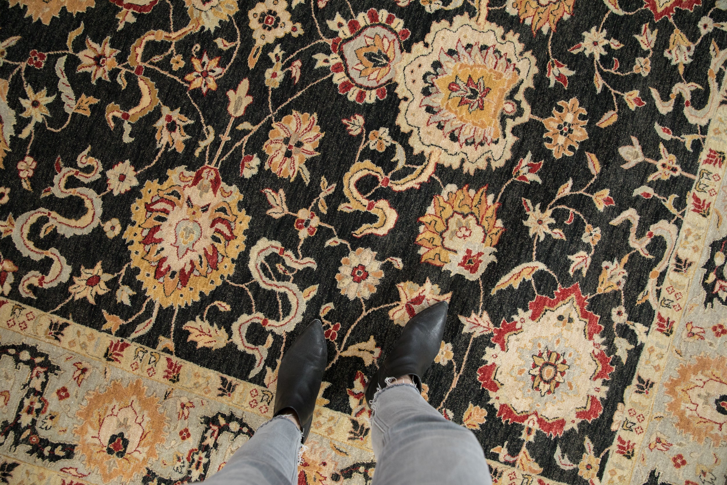 8x10 Indian Sultanabad Design Carpet // ONH Item mc002204 Image 1