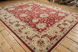 Angled perspective of the Indian Sultanabad rug's cherry red field and intricate ivory border.