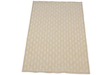 Modern Indian basketweave Soumac rug with neutral flat fiber pattern and striped border.