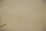 Ivory pile of a vintage Art Deco rug with two small brown spots and a curved stain.