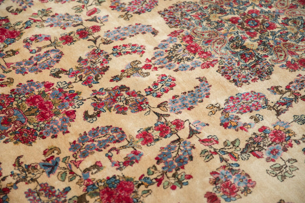 Vintage Kerman Carpet // ONH Item: mc002348, Image 6