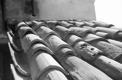 BIRCH WOOD MOUNT: 48x32 goes to edge // ONH Item nh00171 Image 1