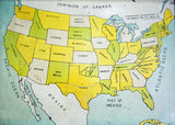 Antique Folk Art USA Map Print with bright yellow, green, and blue colors.