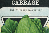 Cabbage seed packet wall art close-up, showing 'Early Jersey Wakefield' text and stippled background.
