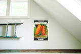 Vintage Carrots Seed Packet birchwood wall art with two vibrant orange carrots, 12x17.