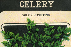 Vintage Celery Vegetable Seed Packet Birchwood Wall Art // ONH Item nh00198-A Image 1