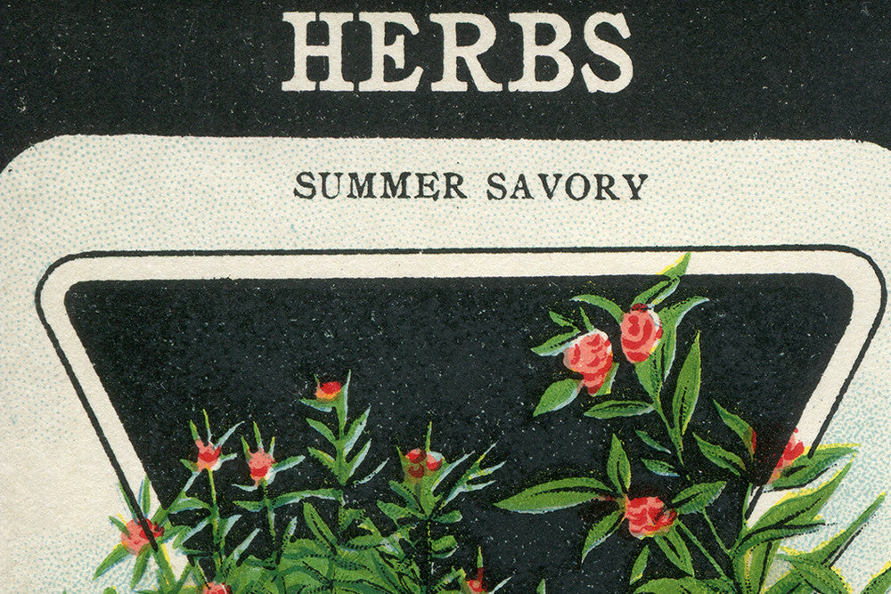 Vintage Herbs Seed Packet Birchwood Wall Art // ONH Item nh00199-A Image 1