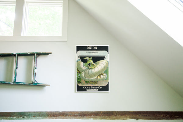 BIRCH WOOD MOUNT: 12x17 goes to edge // ONH Item nh00200-A