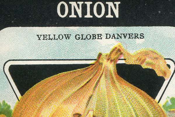Vintage Yellow Onion Seed Packet Birchwood Wall Art // ONH Item nh00201-A Image 1