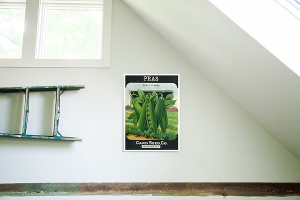 BIRCH WOOD MOUNT: 12x17 goes to edge // ONH Item nh00202-A