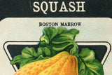 Vintage Squash seed packet art detail, showing 