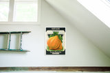 Vintage Squash Seed Packet Wall Art featuring orange squash, green leaves, and birchwood grain. 12x17.