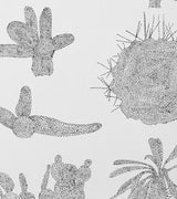 Detail of the Makelike Cactus in Dots Poster, showing black and white dot patterns.
