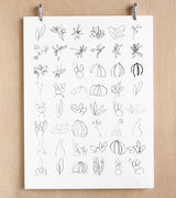 Minimalistic black and white succulent sketch illustrations on Makelike poster.