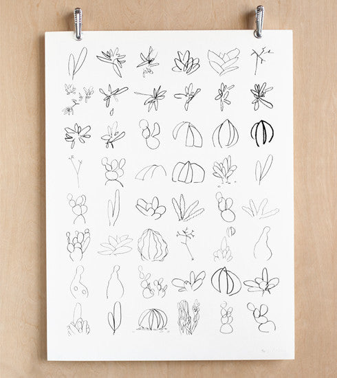 Minimalistic Succulent Sketches Makelike Poster // ONH Item nh00221
