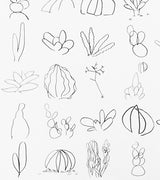 Close-up of hand-screenprinted Makelike poster with black sketch-like succulent illustrations.