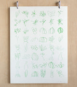 Makelike Minimalistic Succulent Sketches poster, green cactus and succulent illustrations.