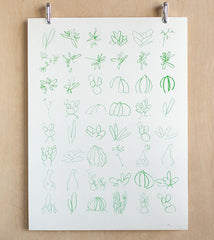 Minimalistic Succulent Sketches in Green Makelike Poster // ONH Item nh00223