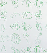 Green ink sketch illustrations of cactus and succulents on a white poster.
