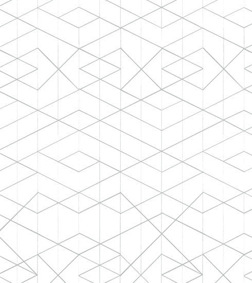 Geometric Wallpaper Grey and White // ONH Item nh00224