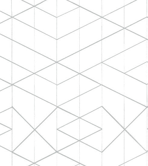 Geometric Wallpaper Grey and White // ONH Item nh00224 Image 1