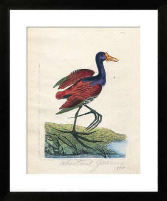 Antique Chestnut Jacona Revival Print // ONH Item nh00280