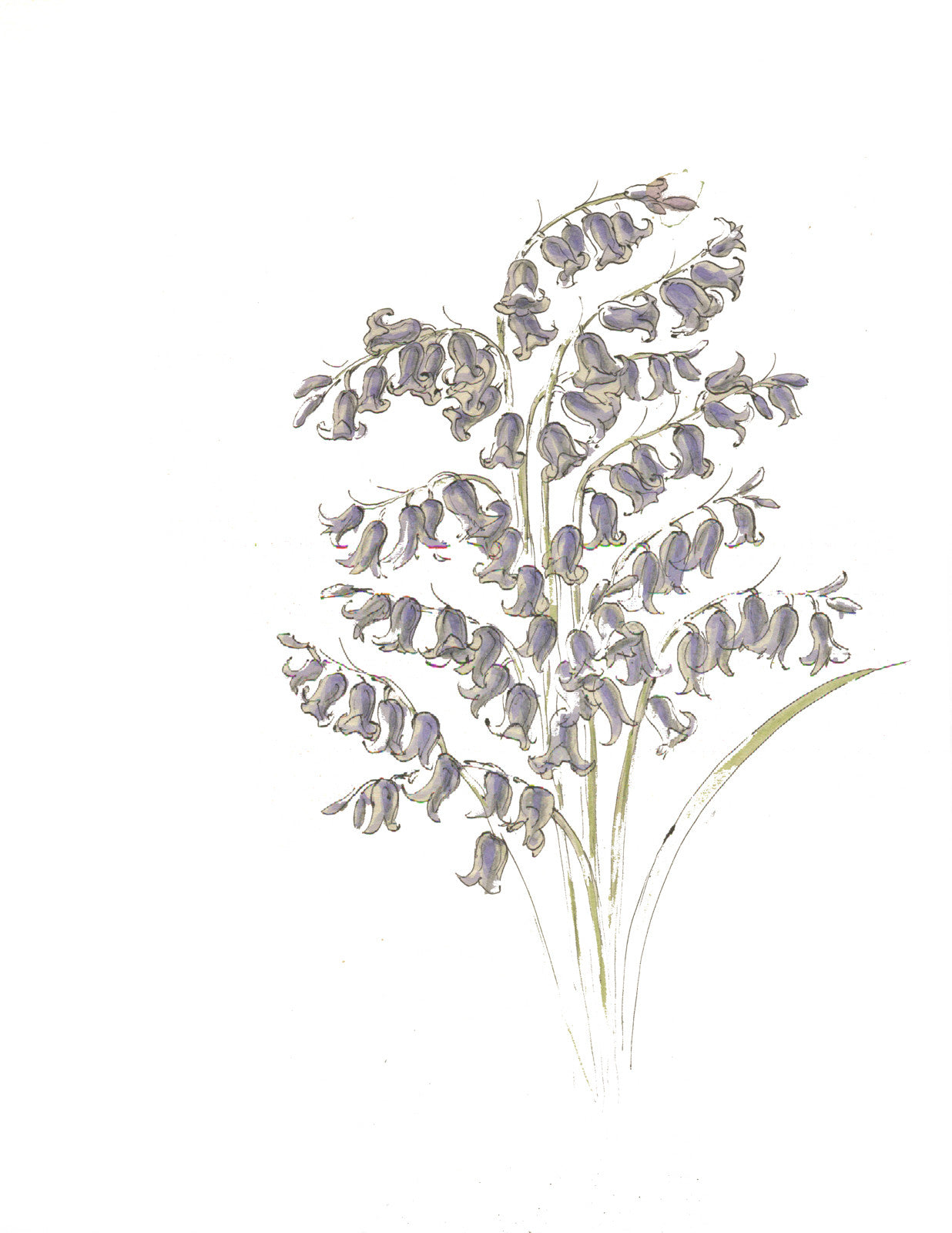 Botanical Art of Purple Flowers Revival // ONH Item nh00281 Image 1