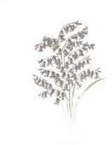 Late 19th century style botanical watercolor of purple bellflowers.