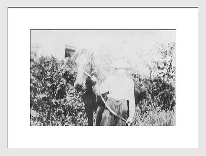 Antique revival photograph of a woman and horse, presented in a white frame.