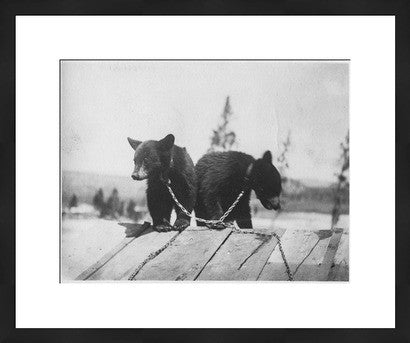 Black Frame // ONH Item nh00303 Image 1