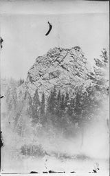 Black and white photograph detail of a large, textured rock and forest with vintage film wear.