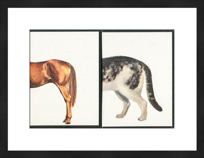 Vintage Visuals Original Photograph, Butts // ONH Item nh00315