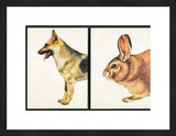 Vintage Visuals print of a German Shepherd and rabbit in a black frame.