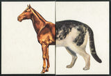 Vintage Horsecat art print, a composite of brown horse front and tabby cat rear.