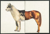 Original Cathorse photograph print showing white cat head and brown horse body.
