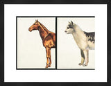 Vintage Visuals original framed art print of a brown horse and spotted cat.