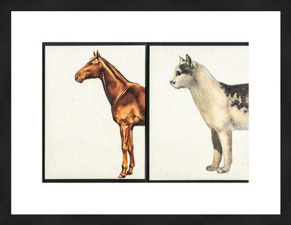 Vintage Visuals Original Photograph, Cathorse // ONH Item nh00321