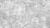Detailed section of a vintage moon chart showing intricately drawn craters and labeled seas.
