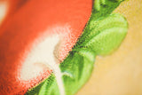Close-up of vintage seed packet art print, showcasing red, green, and birchwood grain.