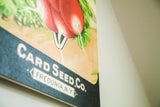 Vintage radish seed packet art detail, showing 'CARD SEED Co.' text and birchwood grain texture.