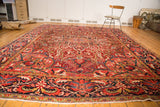 Ahar rug corner displaying vibrant red field, scrolling palmette border, and delicate fringe.